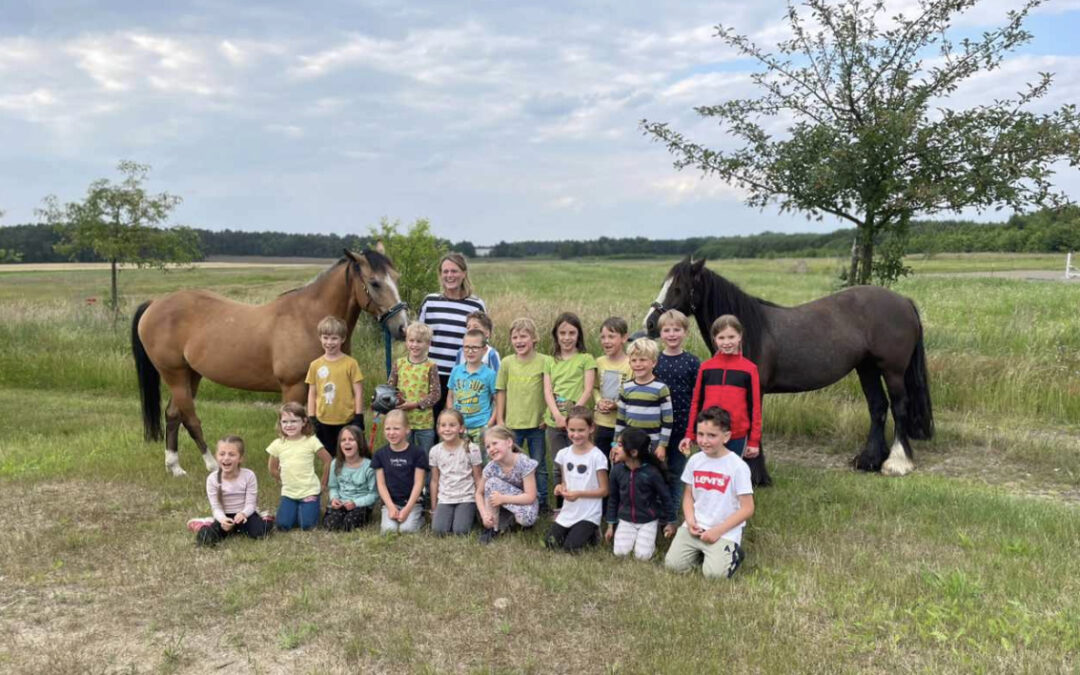 Klassenfest der Fledermäuse